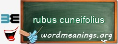 WordMeaning blackboard for rubus cuneifolius